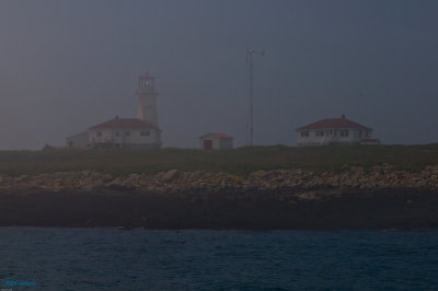 Machias Seal Island Light & Research, Canada