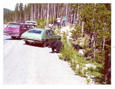 crop0001-after.jpg