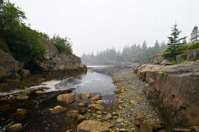 Hamilton Cove Preserve - Downstream