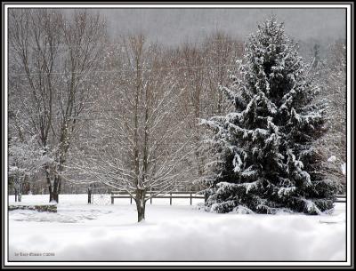 WirySnowSc0052