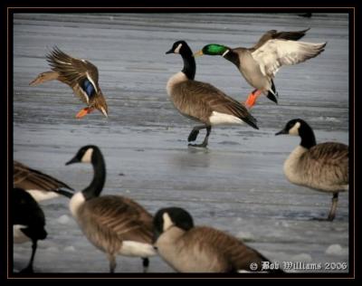 PC-IMG_4125.JPG