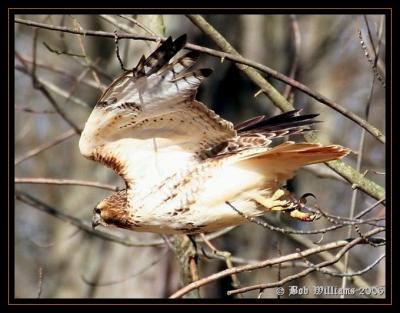 PC-IMG_4246.JPG