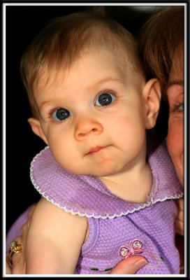 lilly_0061.jpg