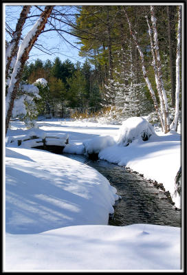 winter-4404.jpg