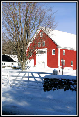 winter-4407.jpg
