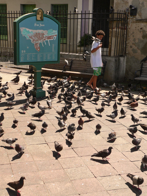 Parque de las Palomas
