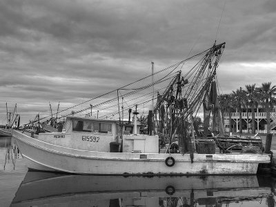 Shrimp Boat - Fulton Harbor
