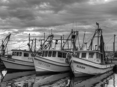 Fulton Harbor shrimp boats
