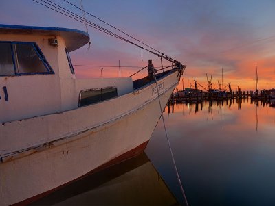 Shrimp Boat - Fulton Harbor