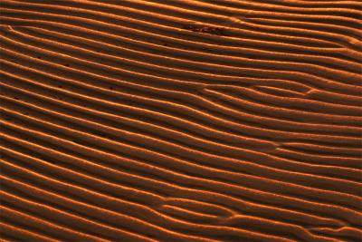 Sand Patterns