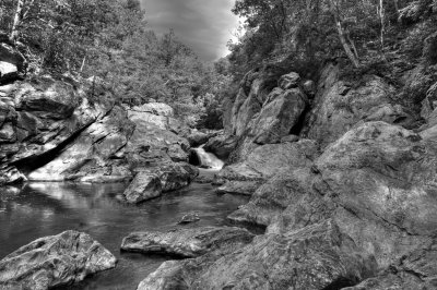 062908 0115_6_7 velvia B&W.jpg