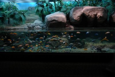 Shanghai Ocean Aquarium