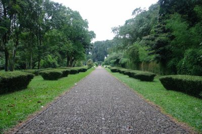 Bogor Botanical Gardens