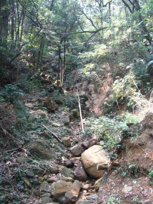 Hike on HK Island