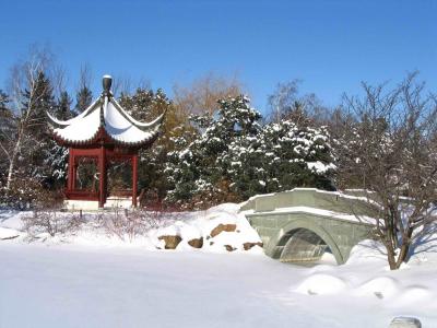 Chinese Garden in winter