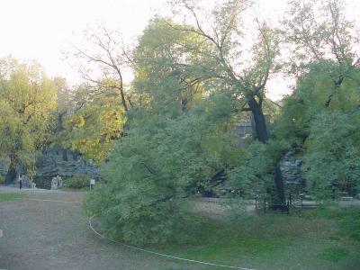 View from Song Qingling Mansion