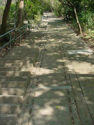 Hike to Lung Fu Shan - the first set of stairs....