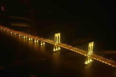 View from Macau Tower at night