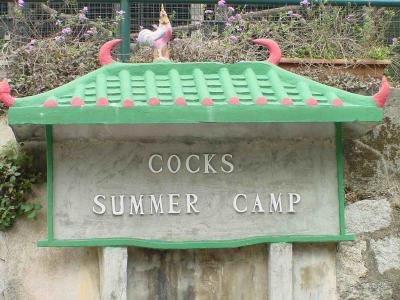 Cocks Summer Camp?  no comment....