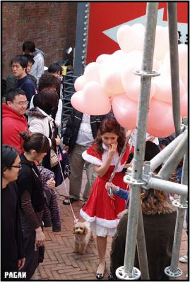 PC048856.jpg