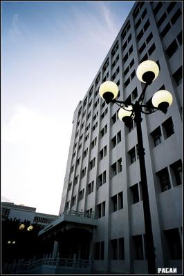 90400024 copy.jpg