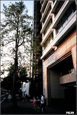 90420011 copy.jpg