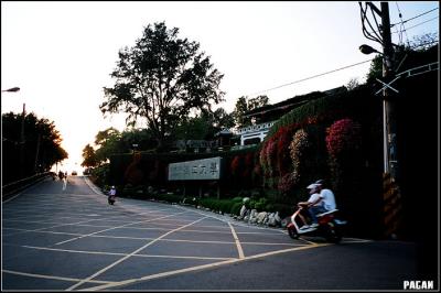 90420014 copy.jpg