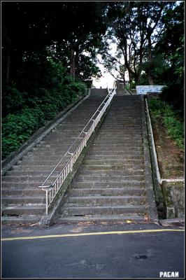 90420015 copy.jpg