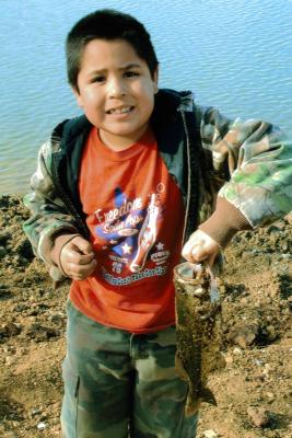 g3/57/339257/3/56529197.Fish.jpg