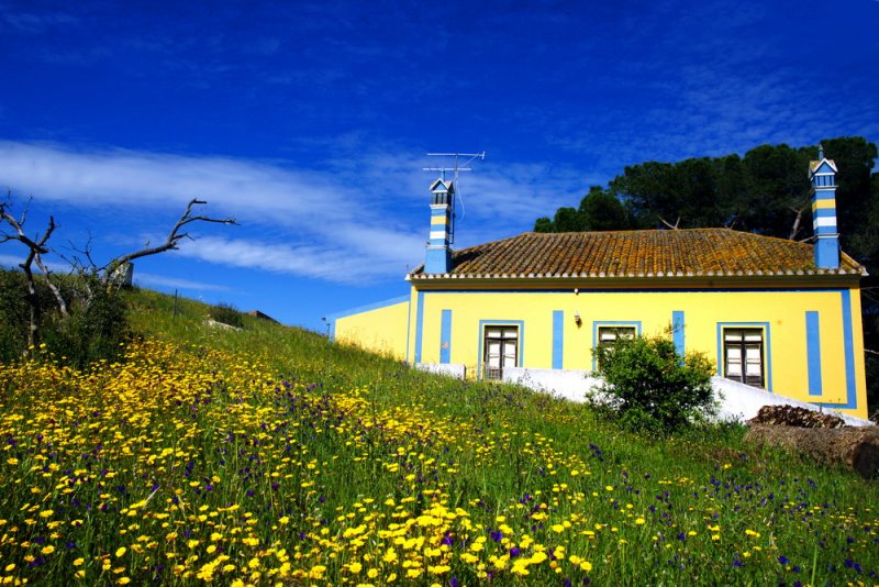 Algarve in spring