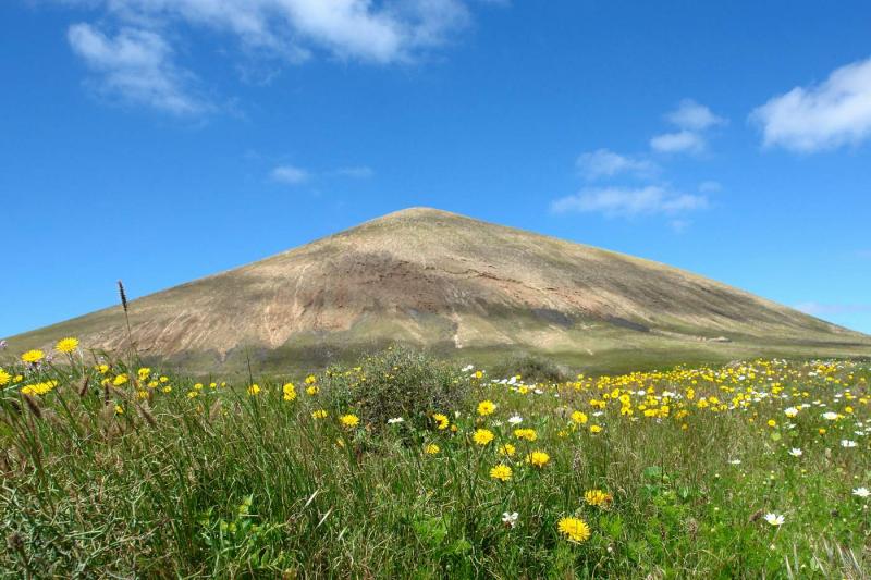 Vulcano with flowers