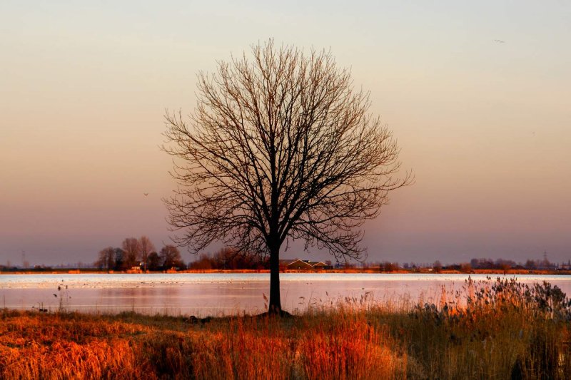 golden february light