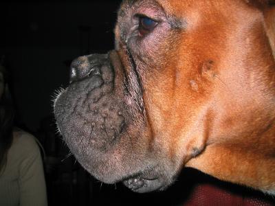 148_4884.JPG
