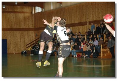 DSC_30088Pb.jpg
