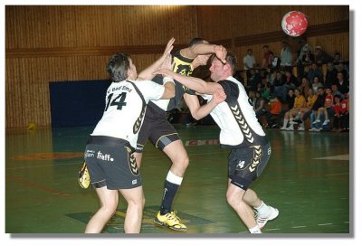 DSC_30094Pb.jpg