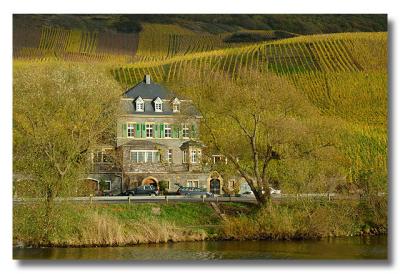 DSC_10872-pb.jpg