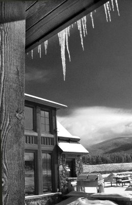 Morning Icicles