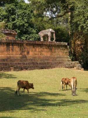 Mebon oriental