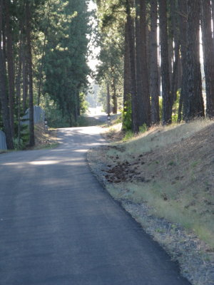 At the end of the first day, I stopped to go rollerblading along Lake Coeur d'Alene