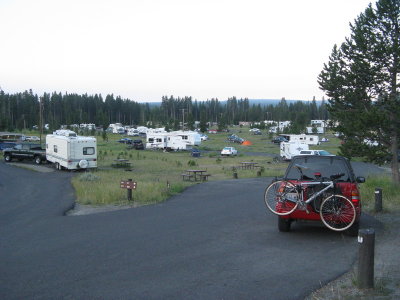 My lovely campsite in a sea of RVs