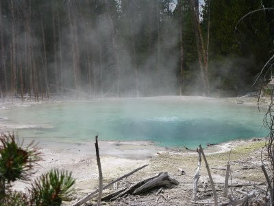 More hot springs... too bad they don't let you soak in them!