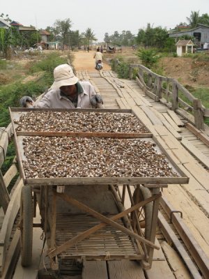 A common sight- clams dried in the sun are a popular snack (not for me though!)