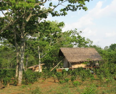 Rural house on the plateau