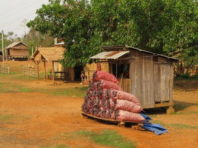 Two major fuel sources- charcoal in the foreground to cook with, and fuel in the shed for cars and motorbikes