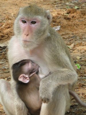 Momma and her baby