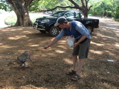 Feeding the monkeys