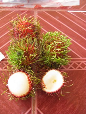 Yum, rambutan!
