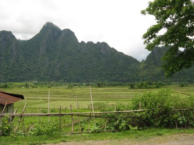 Riding through the beautiful countryside- rice fields and limestone peaks