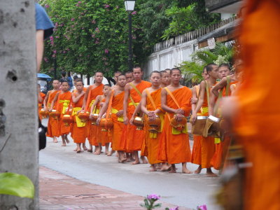 The monks make their rounds collecting food in the morning