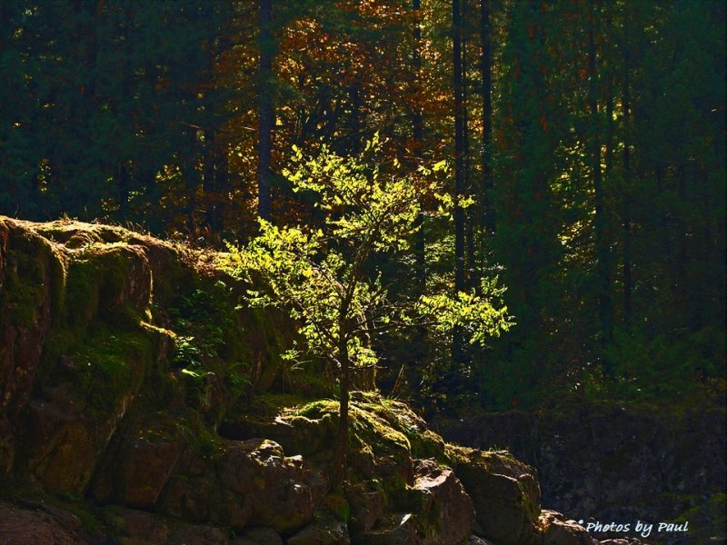 MOTHER NATURES WARMTH . . . .
